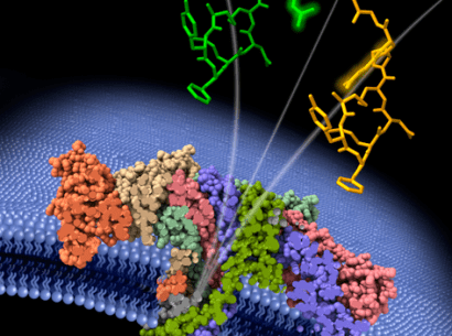 ACS Publication - Cover May 2024 - qui contient la publication du Lambe sur les nanopores