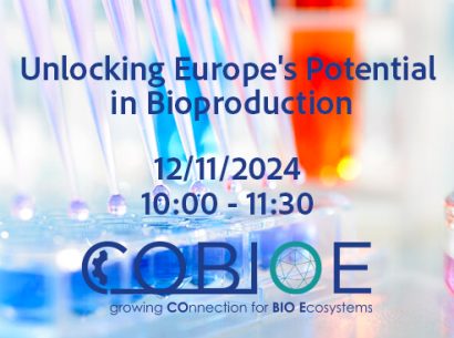 Webinar Cobioe - 